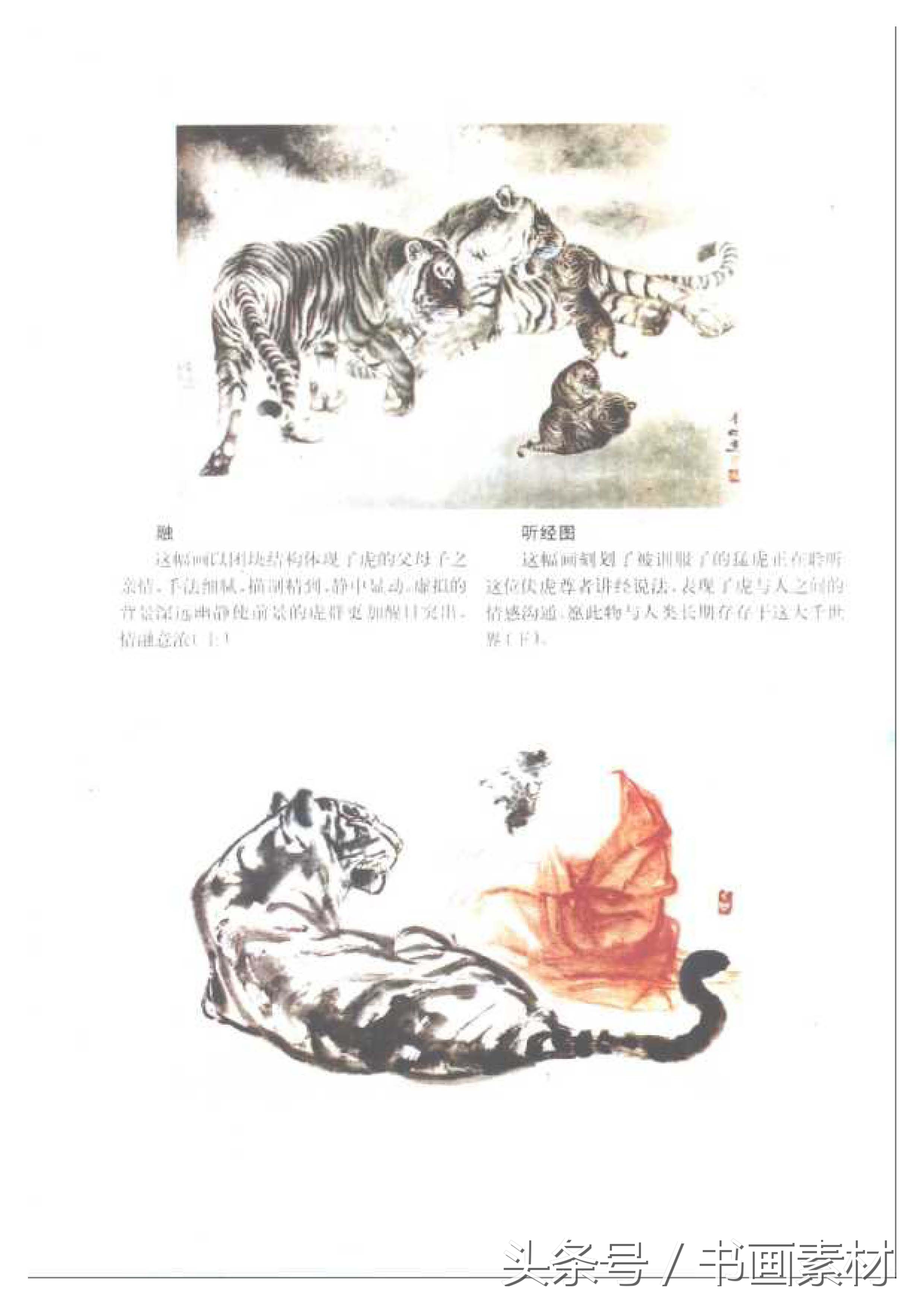 各大名家画虎方法教程,国画虎的绘画方法