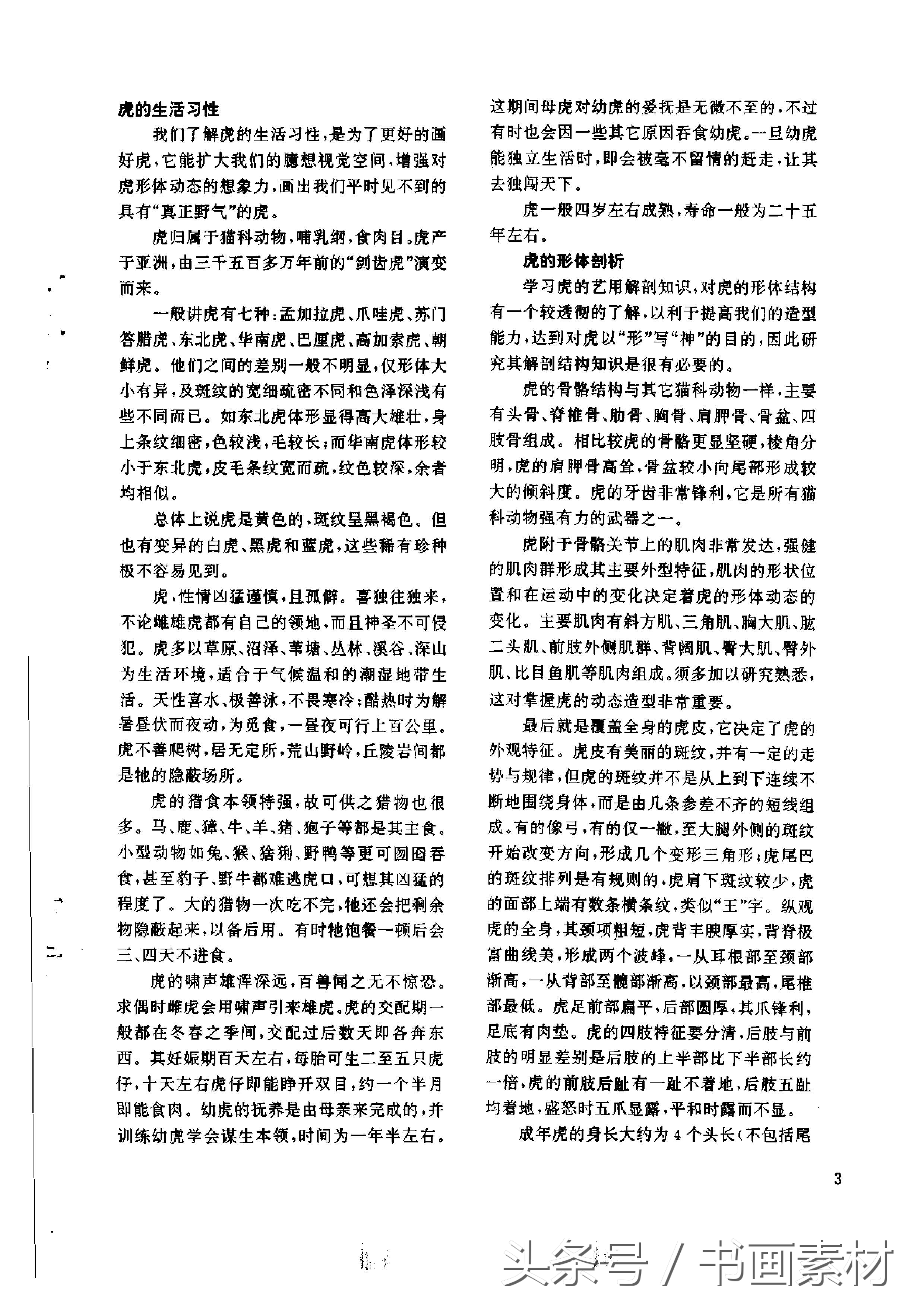 各大名家画虎方法教程,国画虎的绘画方法