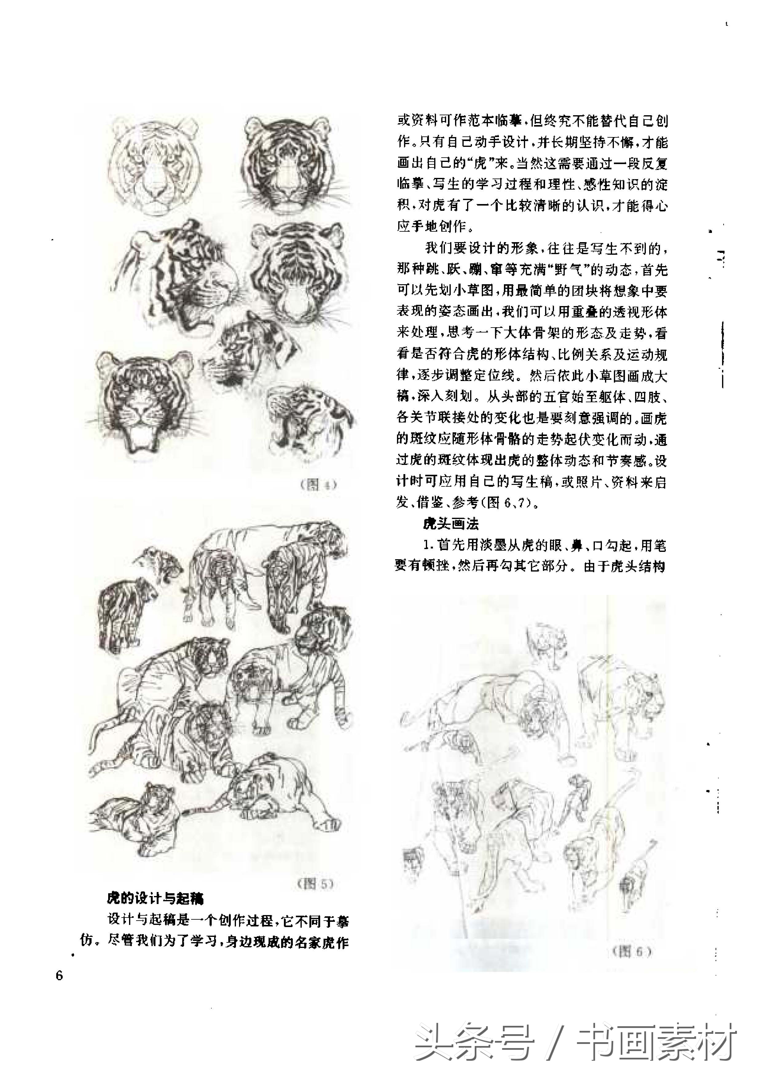 各大名家画虎方法教程,国画虎的绘画方法
