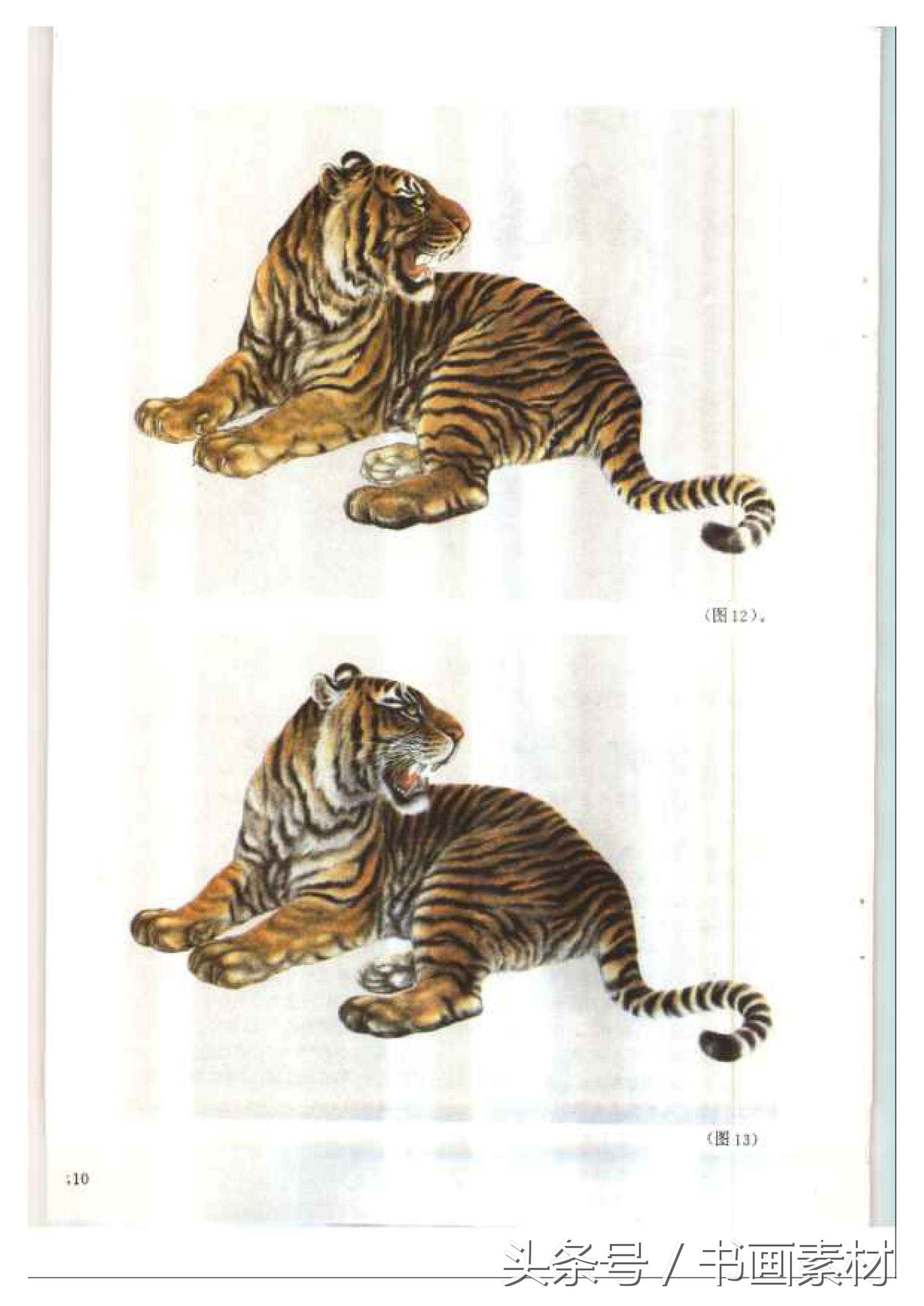 各大名家画虎方法教程,国画虎的绘画方法