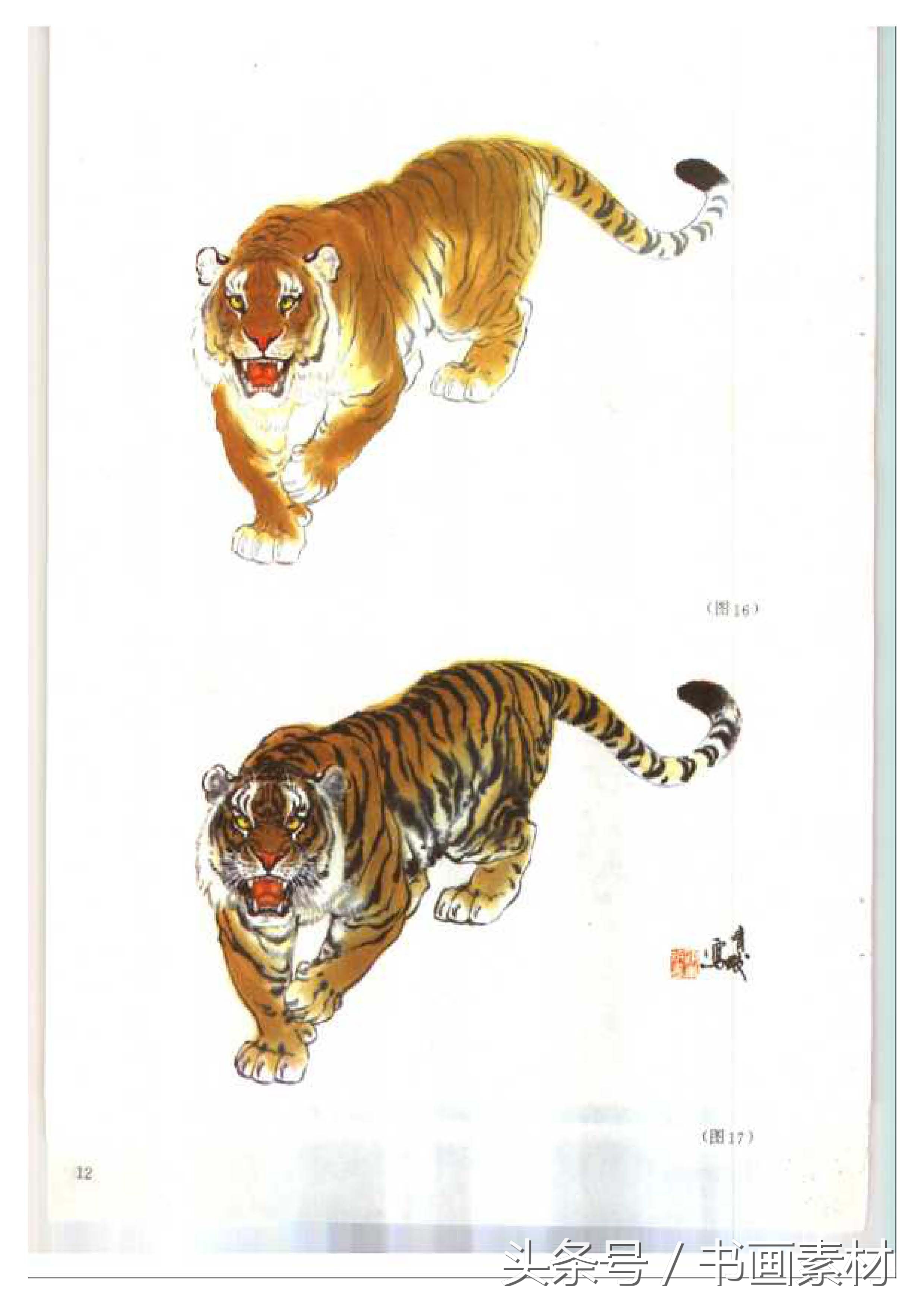 各大名家画虎方法教程,国画虎的绘画方法