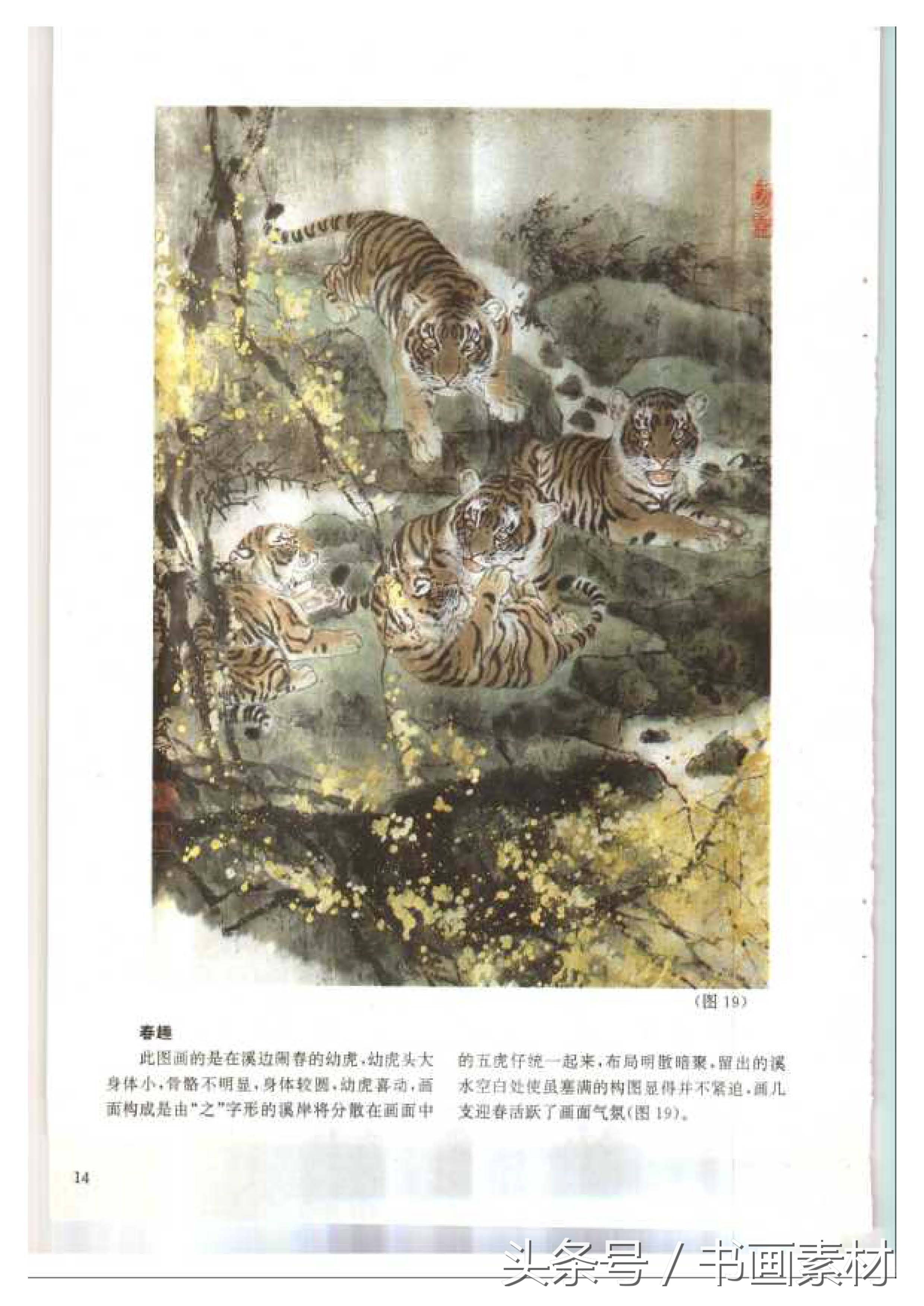 各大名家画虎方法教程,国画虎的绘画方法