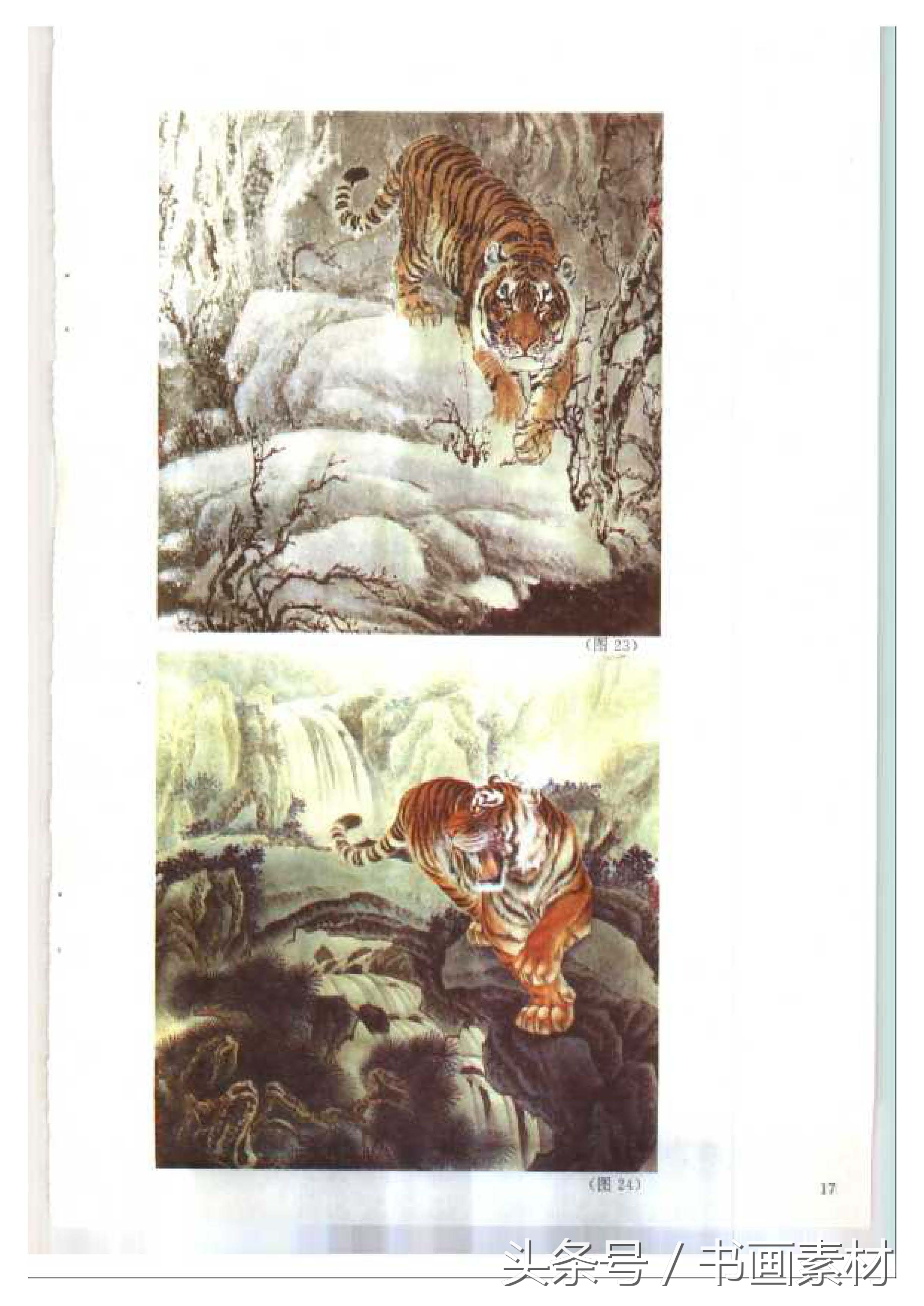 各大名家画虎方法教程,国画虎的绘画方法