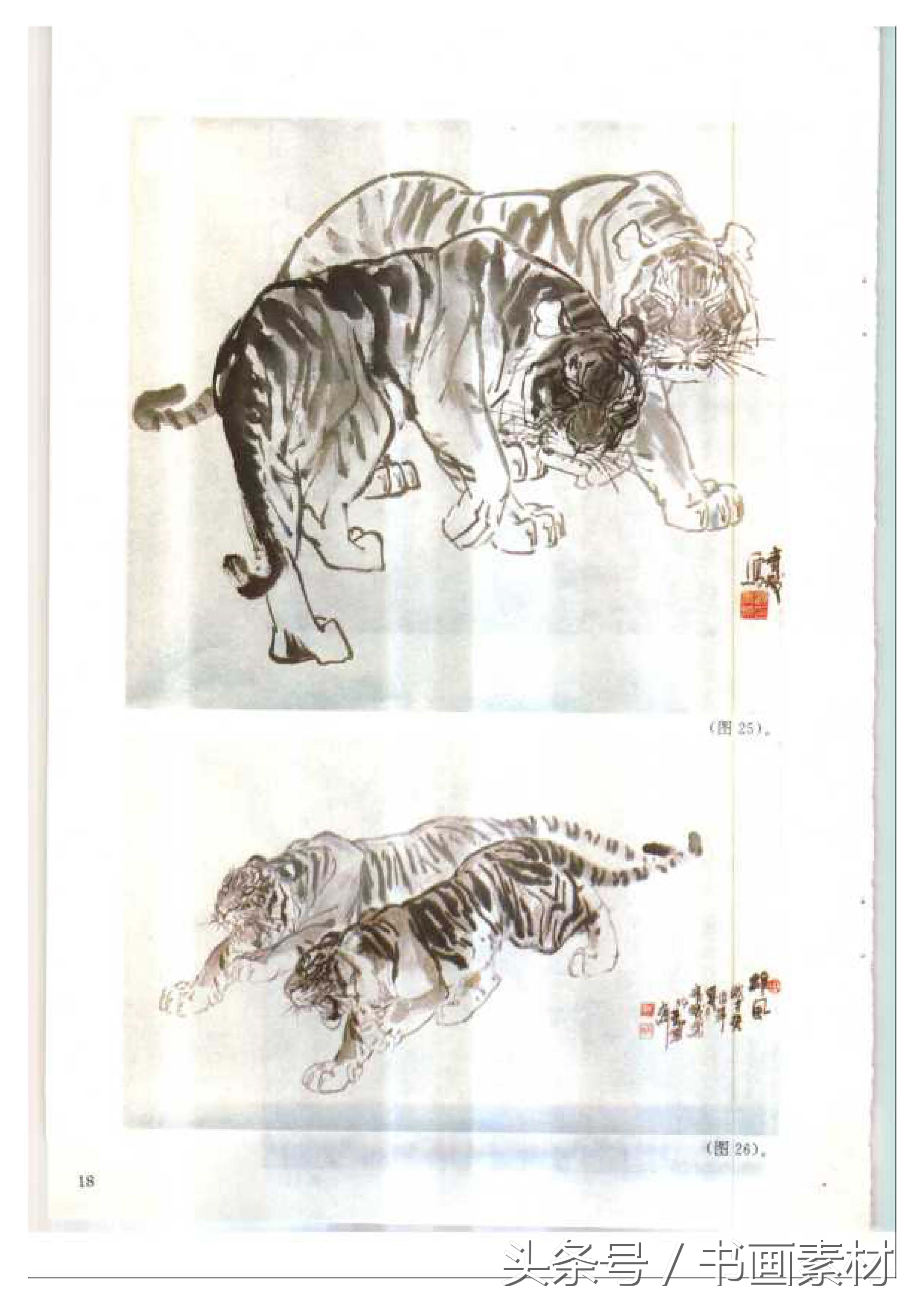各大名家画虎方法教程,国画虎的绘画方法