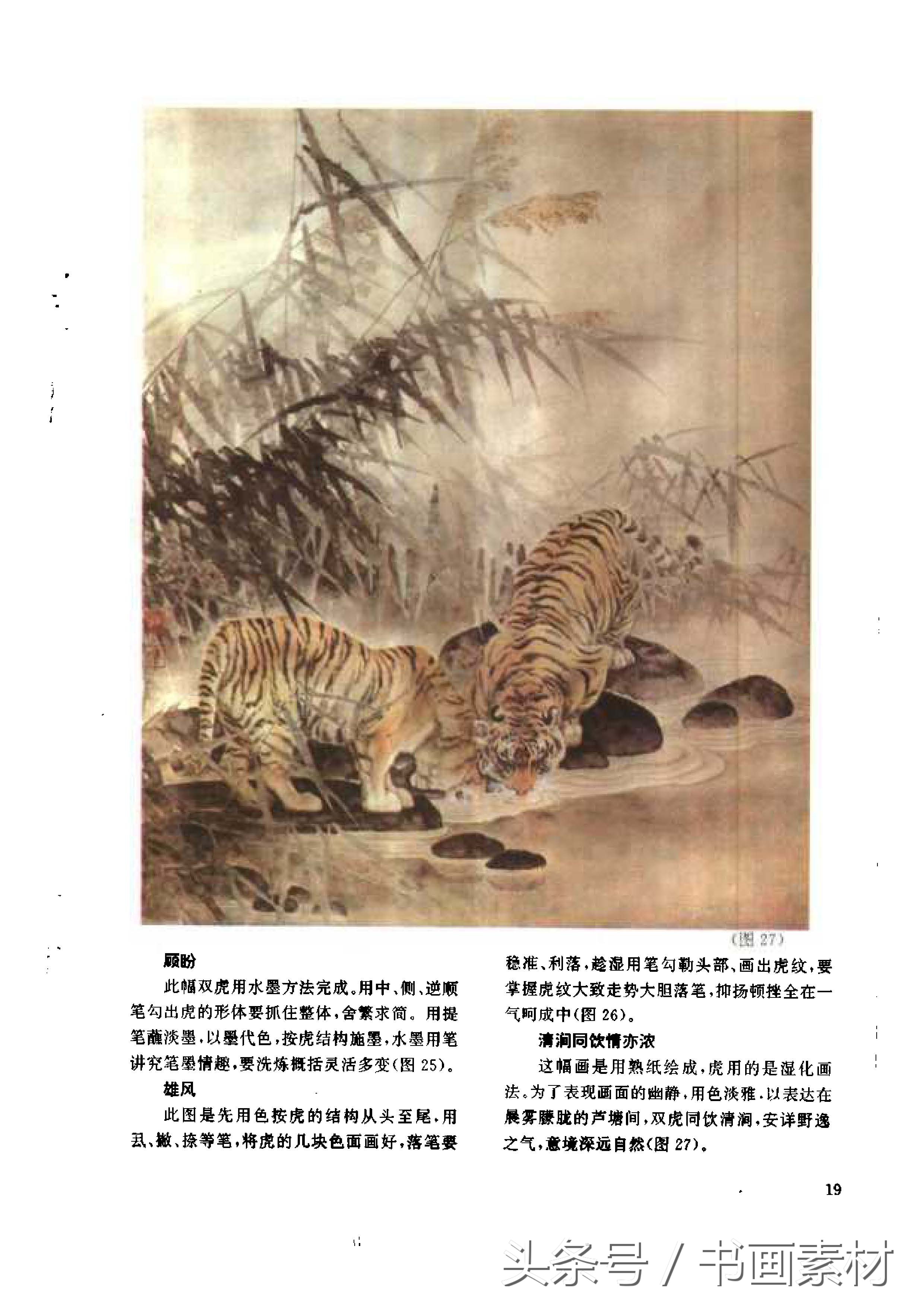 各大名家画虎方法教程,国画虎的绘画方法