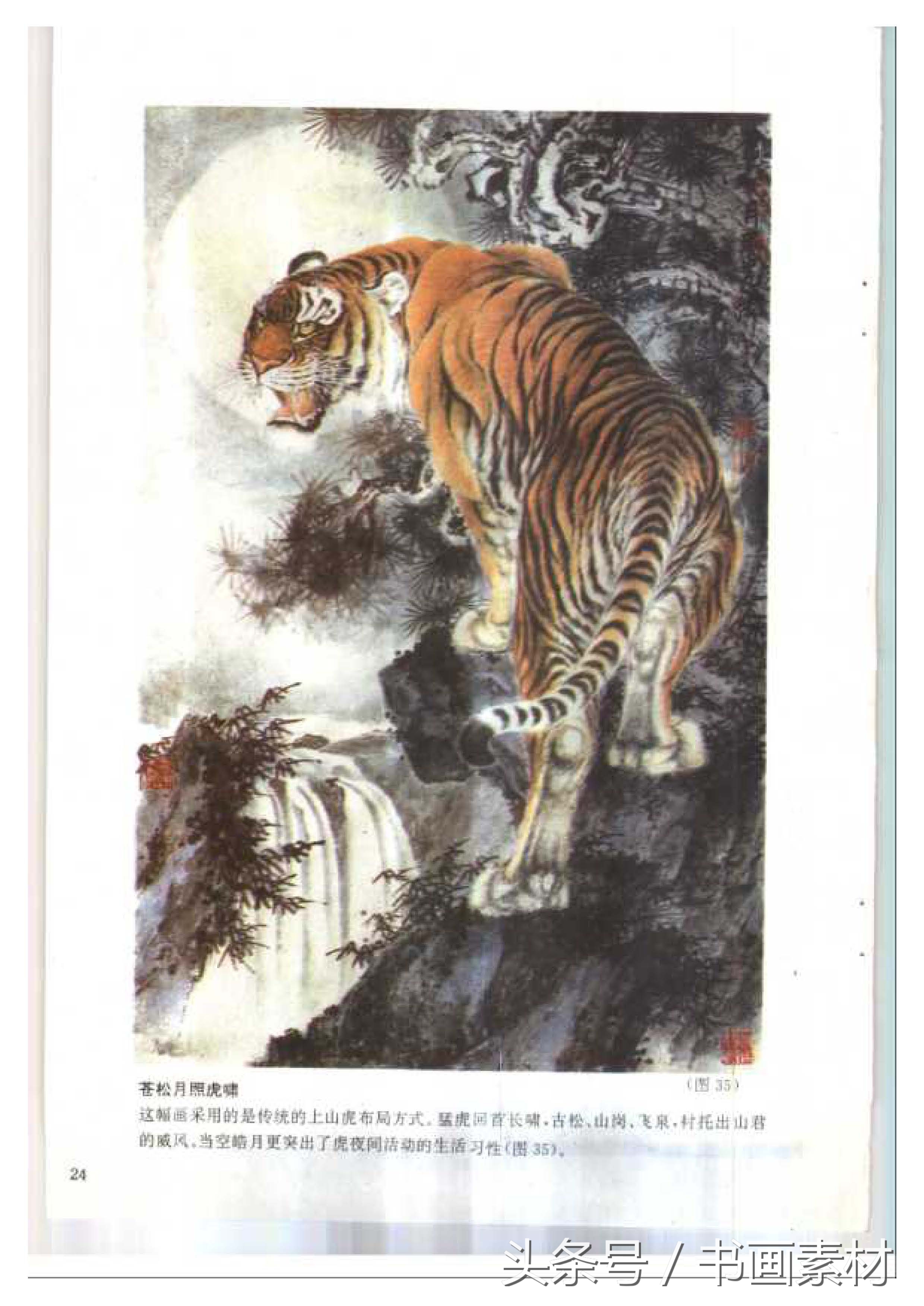 各大名家画虎方法教程,国画虎的绘画方法