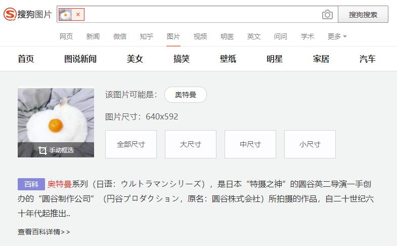 一张猫咪和橘子的照片，各家搜索引擎能识别出来吗？