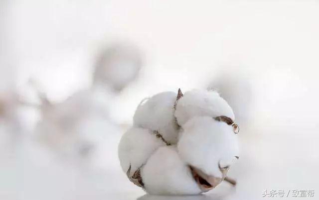 过去一周，这些致富锦囊请拿走不谢！