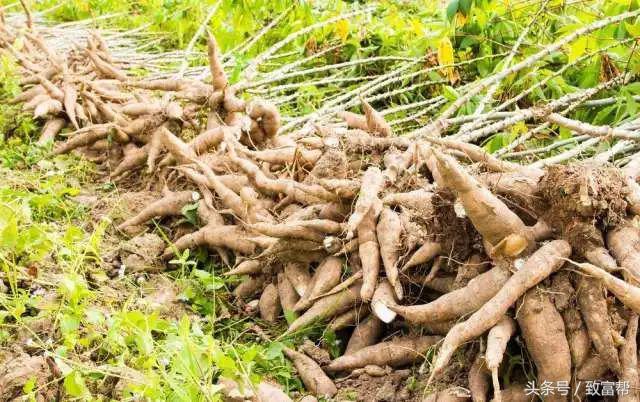 过去一周，这些致富锦囊请拿走不谢！