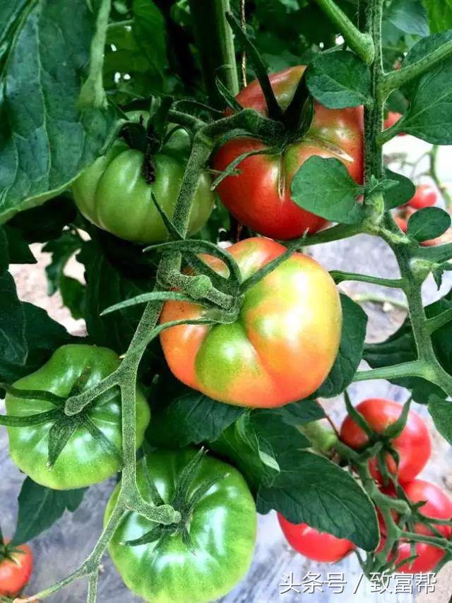 过去一周，这些致富锦囊请拿走不谢！