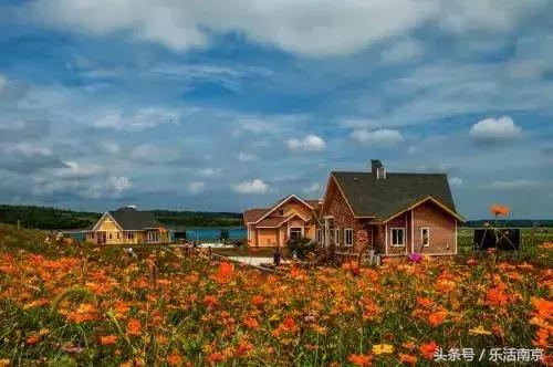 南京赏花季攻略,南京春季赏花时间