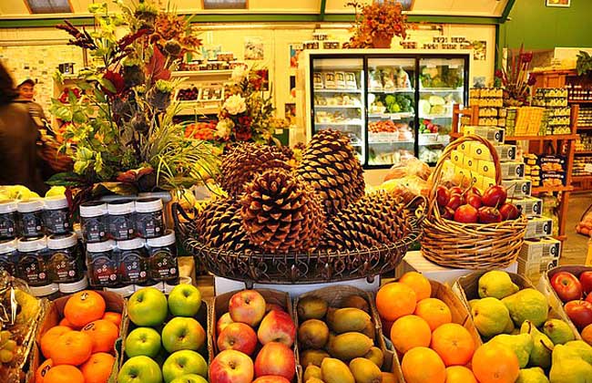 创业开水果店需要哪些手续,水果店创业项目可行性分析