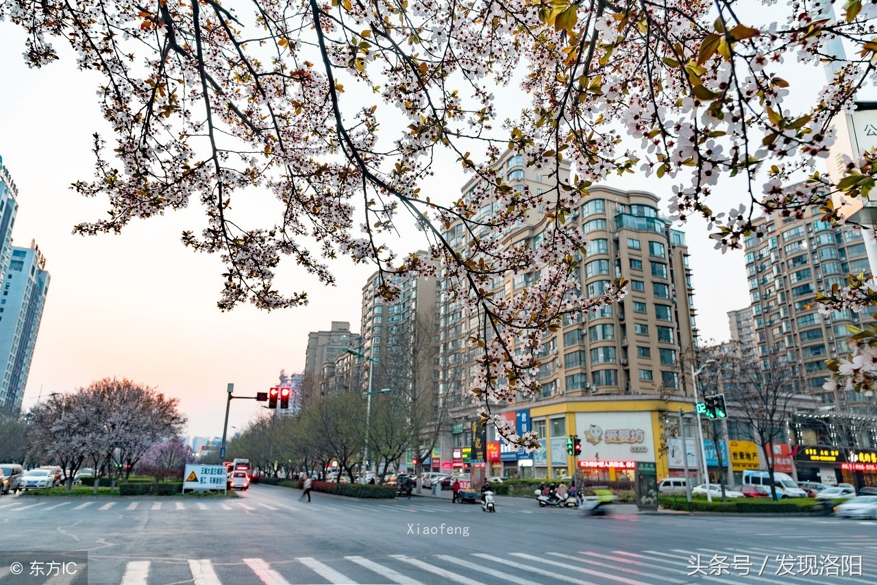 洛阳十大必吃小店,洛阳十家美食老店推荐