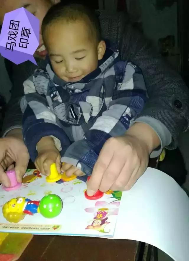 可可狮28月龄,可可狮30月龄视频