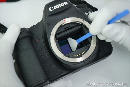 摄影镜头的正确维护,摄影相机保养技巧图解