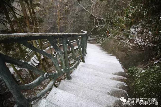 崀山鲸鱼闹海视频,不见鲸鱼的全部小说