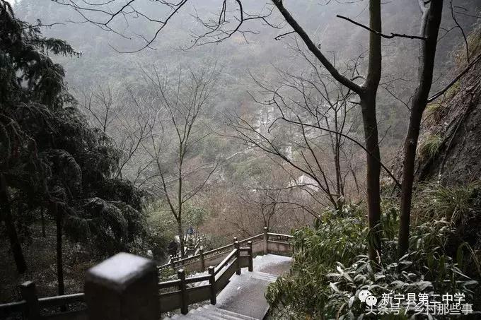 崀山鲸鱼闹海视频,不见鲸鱼的全部小说