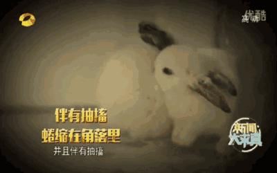 干粉灭火器干粉喷到身上怎么洗,电柜着火直接用干粉灭火器喷吗