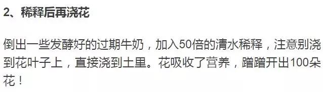 淘米水浇花容易起虫子吗,淘米水浇花会生虫子怎么办