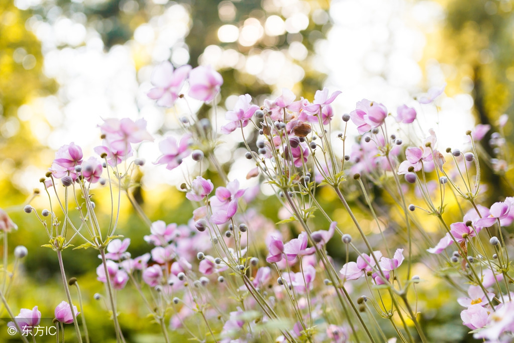 当你感觉苦了，累了，烦了，打开看看这7句话，心里就好受多了！