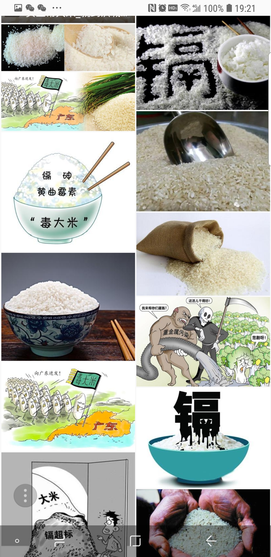 通往健康的科学之舟一