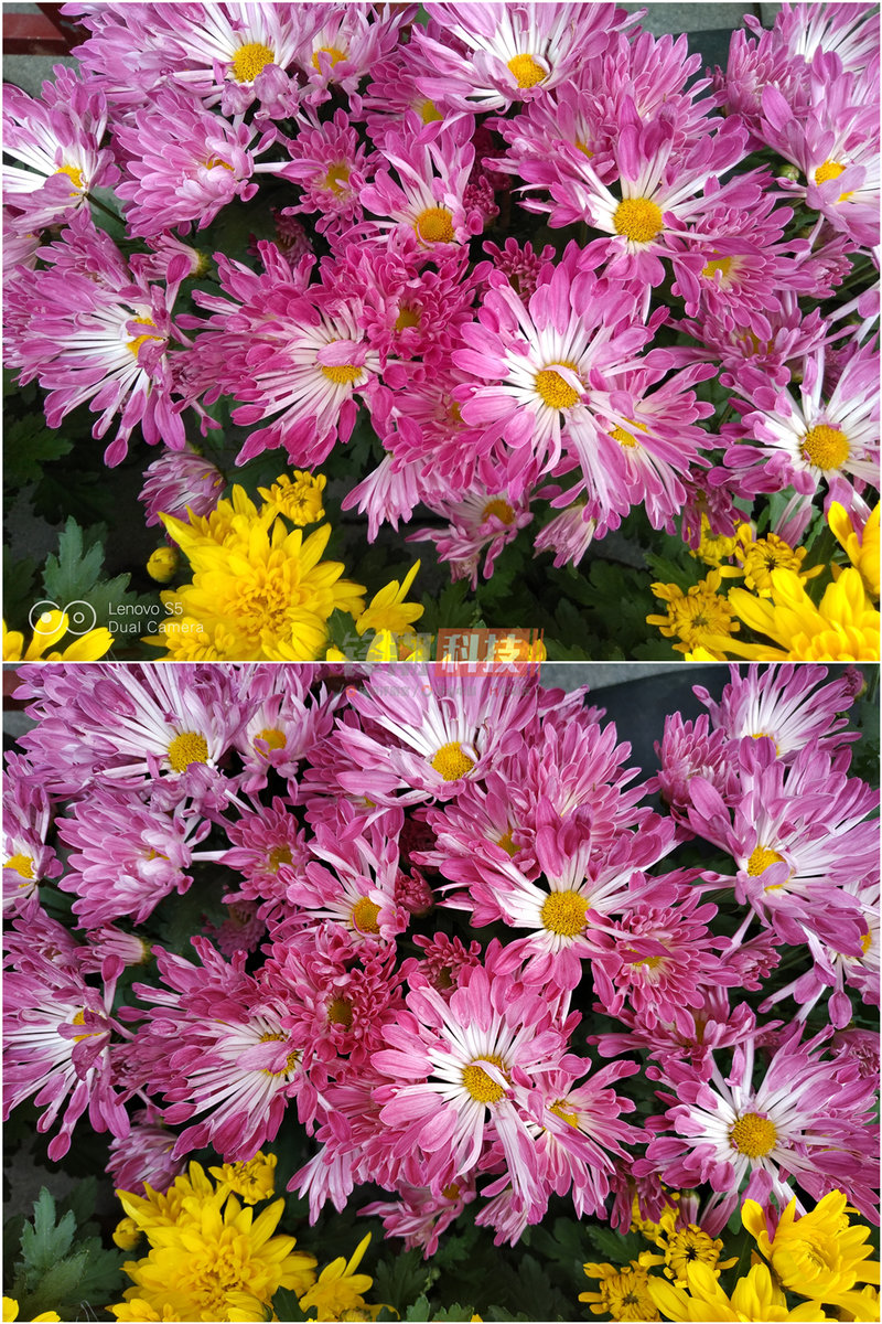 这年头这手机还有一丢丢竞争力？联想S5深度体验报告