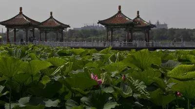 瀵逛笉璧锋垜鍔濅綘鍒潵骞垮窞,瀵逛笉璧锋垜鍔濅綘鍒潵娣卞湷