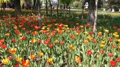 瀵逛笉璧锋垜鍔濅綘鍒潵骞垮窞,瀵逛笉璧锋垜鍔濅綘鍒潵娣卞湷