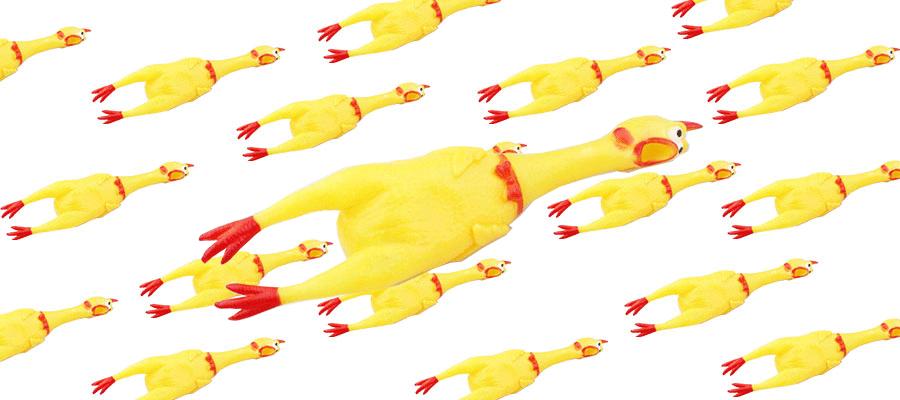 任吃全场百款菜品,任吃任饮免费自助餐