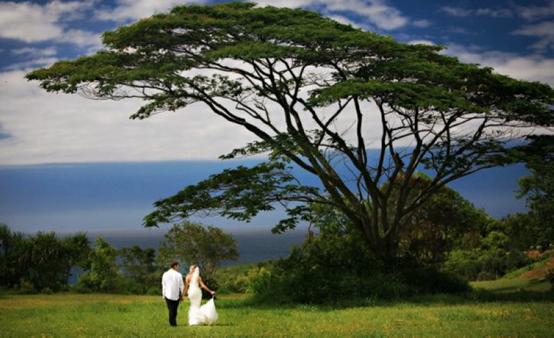 全球十款最好看的婚纱摄影,国外婚纱摄影大全