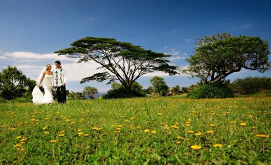 全球十款最好看的婚纱摄影,国外婚纱摄影大全