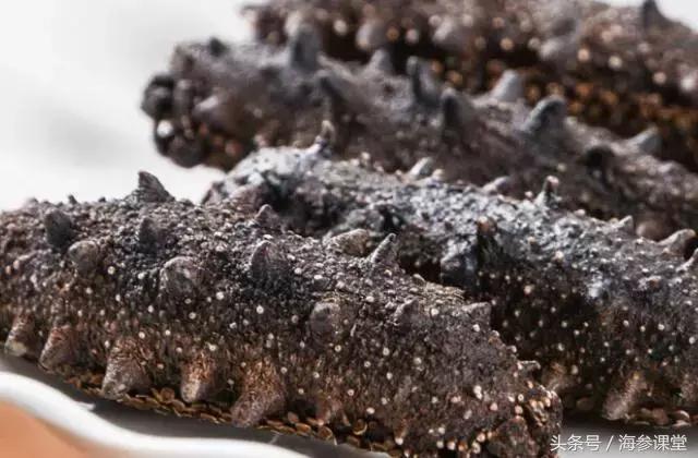 发泡的海参三四天表面变滑,海参泡发还是干的好