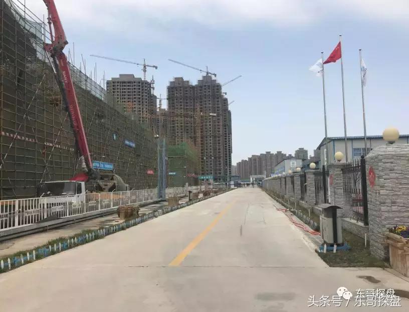 又一神盘诞生，花儿为什么这样红？