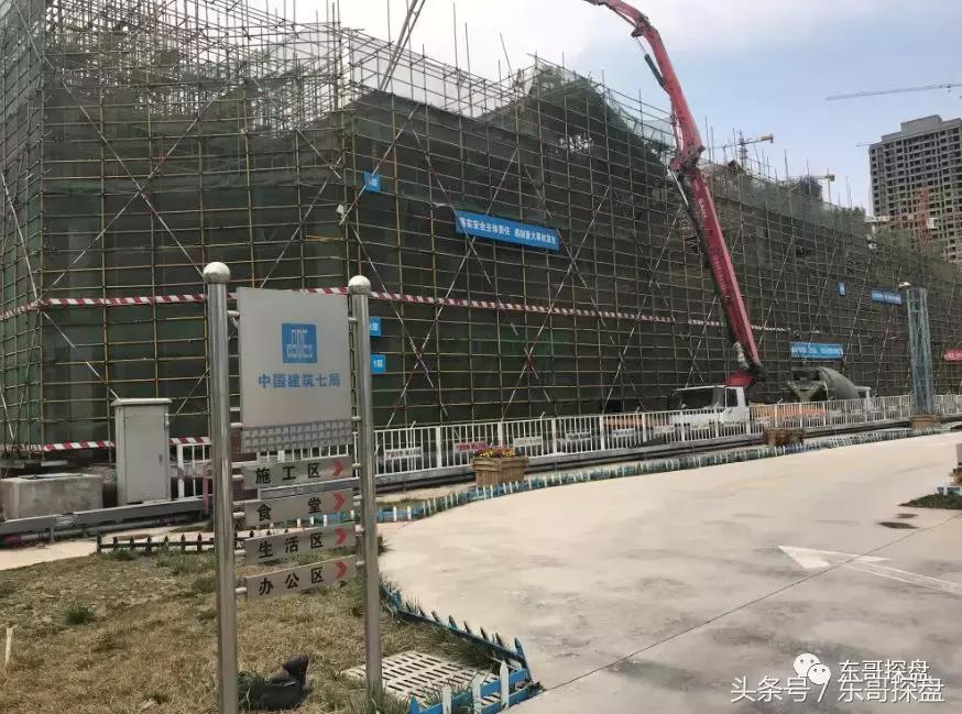 又一神盘诞生，花儿为什么这样红？