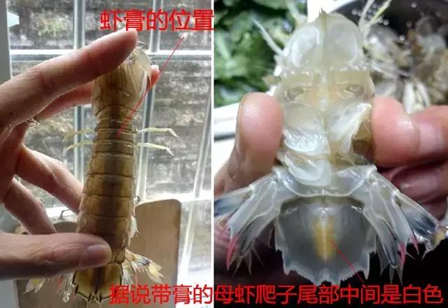 烟台海边海鲜寻找攻略,盘点海鲜市场所有进口大海鲜