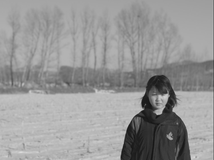 免费看电视连续剧寡妇成仙记,小寡妇成仙记完整版免费观看