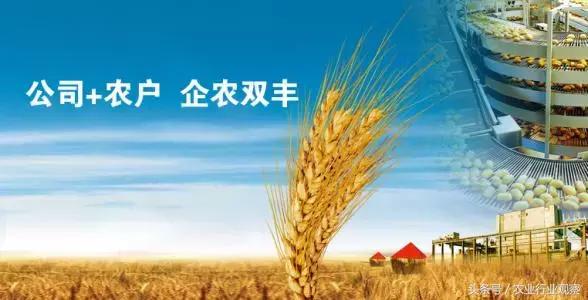 介绍十种常见的商业盈利模式,商业模式十大必学的技巧