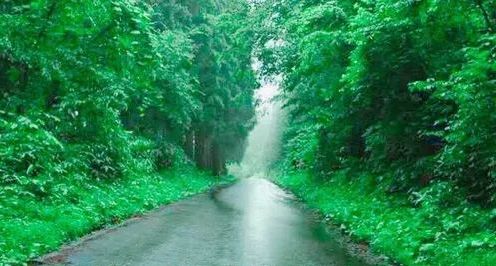 豆瓣8.2分烧脑片日本,豆瓣8.9的日漫电影