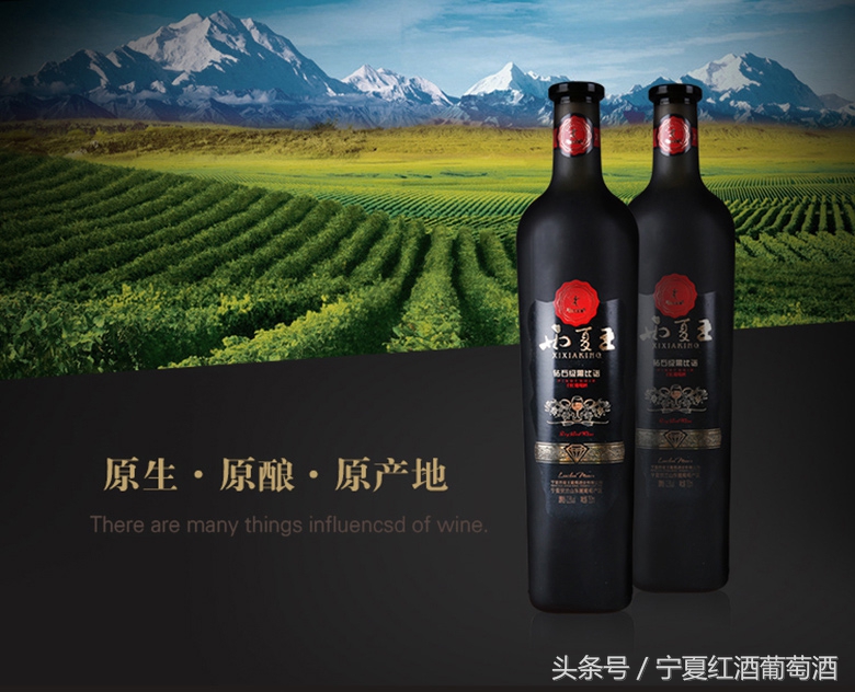 宁夏贺兰山东麓西夏王,宁夏农垦贺兰山种业有限公司