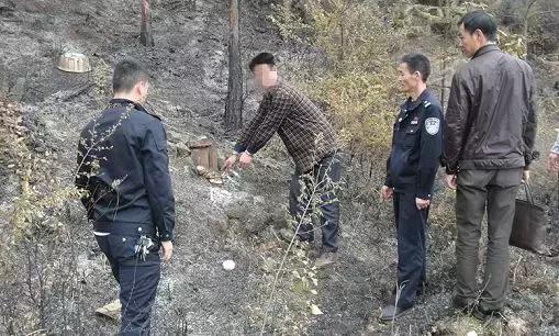 清明期间重大事件,清明事件曝光
