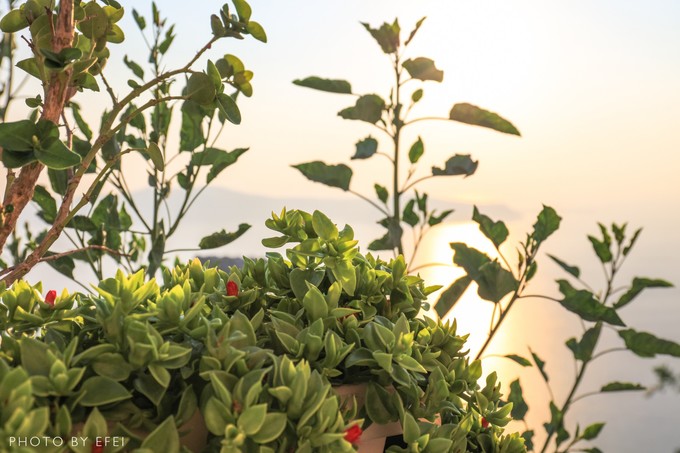 希腊旅游开车路线攻略,希腊旅游攻略美食