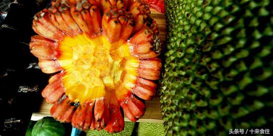 海贼王里的恶魔果实有哪些,海贼王中的恶魔果实