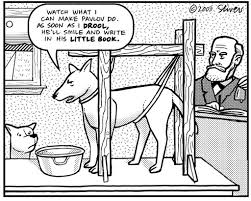 英国租房子真实生活,英国租房视频