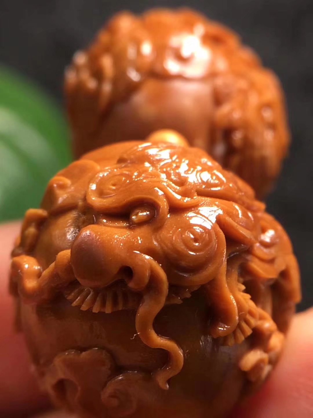 橄榄核春天能玩吗,橄榄核之秋