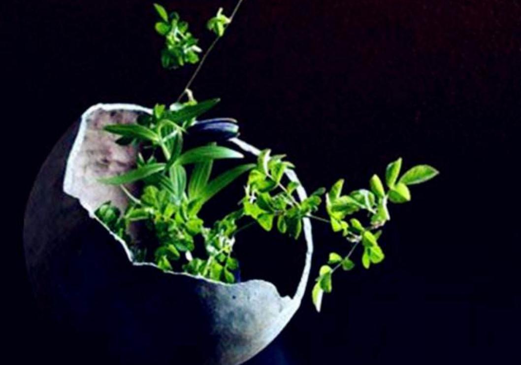 语录当你一无所有的时候,美文当你看透一切时荐读