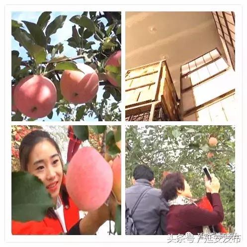 延安：宜川县多管齐下 培育经济新动能