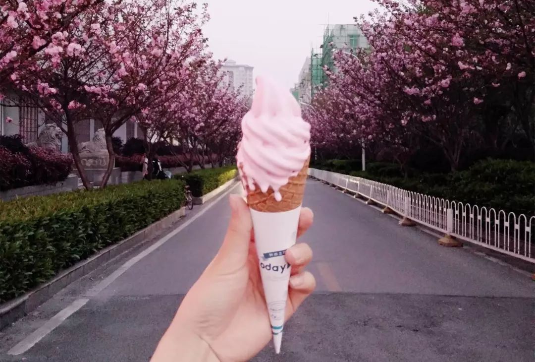 网红美食拔草记，看看你打卡了吗？