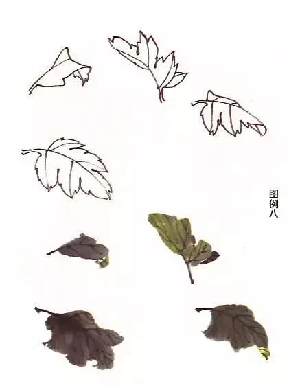 怎样画菊花的最简单画法,怎么样画菊花简单画法