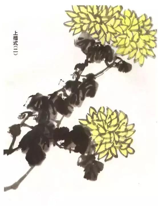 怎样画菊花的最简单画法,怎么样画菊花简单画法
