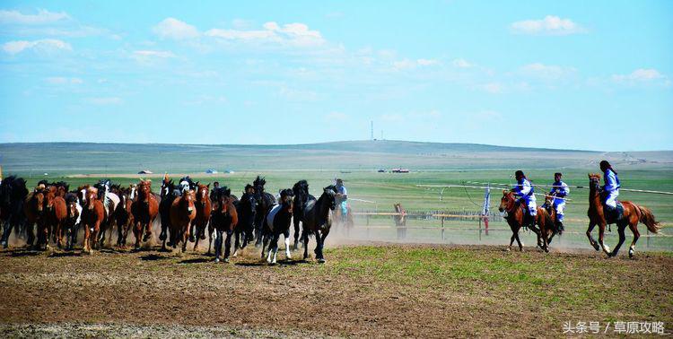 马之舞巴尔虎,玛之舞巴尔虎最新